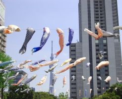 鯉のぼりをベランダで泳がせたい