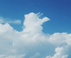 暑中見舞いの時期