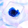 母の日のプリザーブドフラワー！スイーツがいい？写真立てがいい？