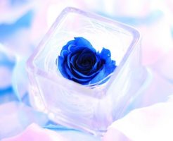 意外と人気のプリザーブドフラワー