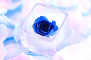 プリザーブドフラワー