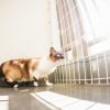 サンシェードをベランダに付けた時の効果は？取り付けは？賃貸もOK？