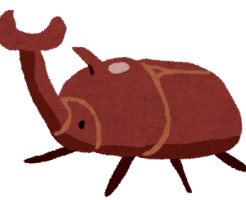 カブトムシ