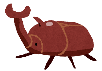 カブトムシ