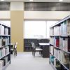 読書感想文の書き方のコツはどうすれば？書き出しとまとめ方を解説！