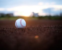 夏の高校野球