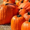 ハロウィンの日が待ち遠しい！でもそもそも正確な日ていつなの？発祥は？
