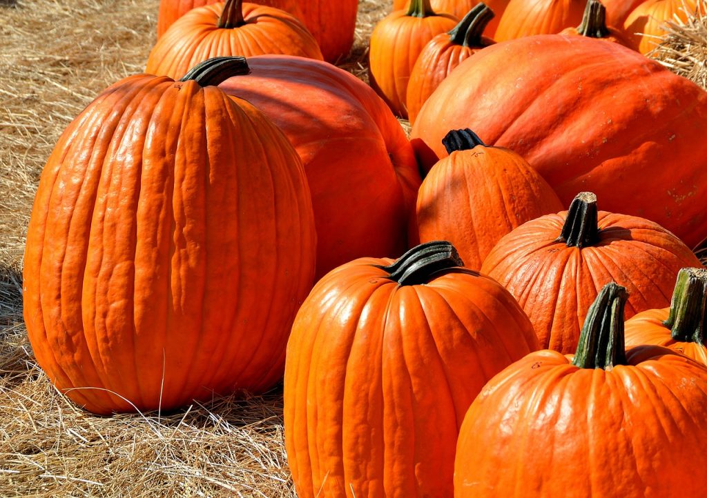 ハロウィンの日