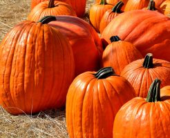 ハロウィンの日