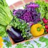 夏に植える野菜で初心者でも育てやすいものとは？コツや注意点まとめ