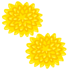 食用菊