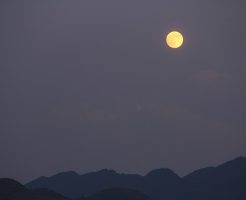 中秋節