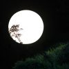 十六夜の月の読み方とは？時期や意味とは？別名や楽しみ方も紹介！