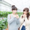 味覚狩りにオススメの時期とは？選び方や代表的な食べ物の旬まとめ