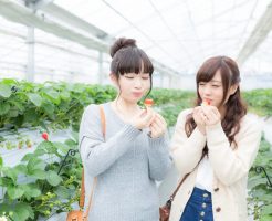 味覚狩りにオススメの時期とは？