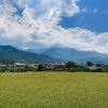 二百十日や二百二十日とはどんな行事なの？台風が絶対くる日なの！？