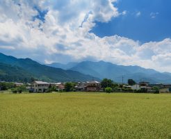 二百十日の台風は厄介