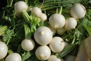 菘