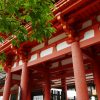 七五三での初穂料の金額と書き方は？中袋だけじゃなく裏も！？