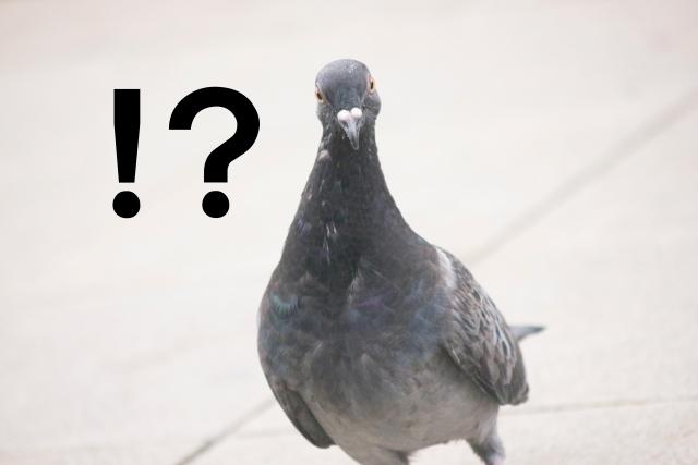 意外！？年賀状の一言には句読点をつけない！