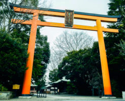川越氷川神社の初詣へ！ご利益や混雑具合は？食事処や駐車場情報！