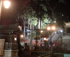 鹽竈神社（宮城県）の初詣！安産のご利益があるってホント？