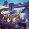 世良田東照宮（群馬県）の初詣|ご利益・お守り・厄除け情報まとめ